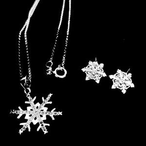 Silver Snowflake Necklace and Earring Set